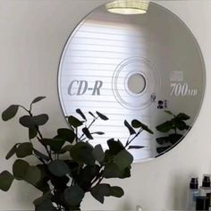 a plant is in front of a cd disc on the wall next to a potted plant