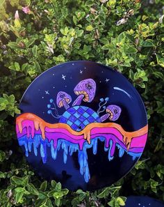 a frisbee that has been painted on it