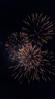 fireworks are lit up in the dark sky with no people around them to see it