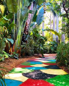 an outdoor area with colorful rugs and plants on the ground, surrounded by palm trees