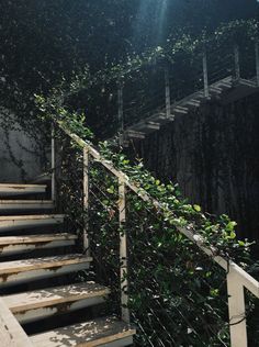 the stairs are covered with vines and leaves