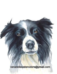 a painting of a black and white dog with blue eyes looking at the camera while wearing a yellow collar