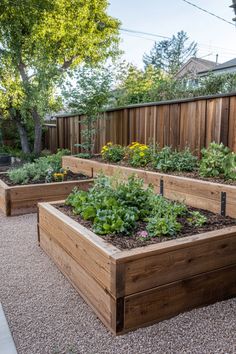 an outdoor garden with wooden raised beds and plants in the center, along side a fence