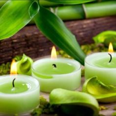 green candles sitting on top of a wooden table next to bamboo stalks and leaves with one candle lit