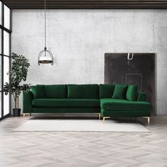 a green couch sitting in front of a white rug