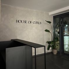 there is a plant in the corner of this room and it says house of curls