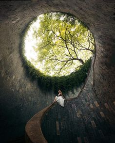 a man sitting on the edge of a brick wall next to a tree and looking up at the sky