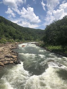 a river with rapids and rocks in the foreground, surrounded by trees on either side