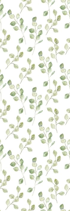 a white background with green leaves on it