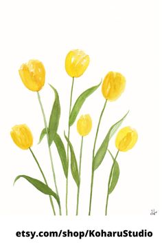 watercolor painting of yellow tulips on white background