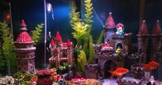 a fish tank filled with lots of different types of plants and animals on top of it