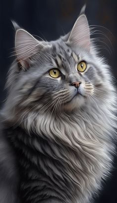 a gray cat with yellow eyes is looking off to the side and it's head slightly tilted