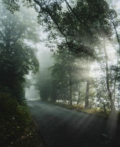 an empty road surrounded by trees and fog