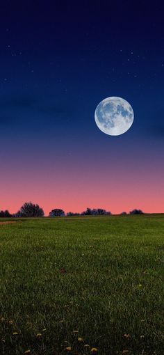 the full moon is setting over an open field