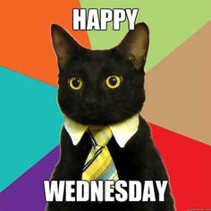 10 Wednesday Memes That'll Make You Wish It Was Friday Already Business Cat Meme, Book Return, Chemistry Cat, Business Cat, Mean Cat, Happy Birthday Meme, Happy Birthday Funny