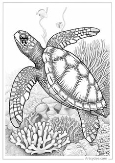 a sea turtle swimming in the ocean coloring page