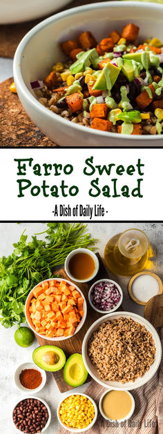 Our Farro Sweet Potato Salad is full of vibrant flavors. It marries the smoky, tangy essence of chipotle-spiced sweet potatoes with the chewy, creamy texture of farro, creating a blend of taste and texture that will leave you perfectly satisfied. #numstheword #farrosweetpotatosalad #sweetpotatofarrosalad #farrosaladwithroastedsweetpotatoes #roastedsweetpotatoandfarrosalad #farroandsweetpotatosalad #farroandroastedsweetpotatosalad #farrosaladwithsweetpotato #southwestfarrobowl Farro Sweet Potato, Sweet Potato Salad, Vegan Salad Dressing, Favorite Casseroles, Quick Side Dishes, Side Dish Recipes Easy, Summer Pasta Salad, Salad With Sweet Potato, Best Side Dishes