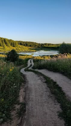 an empty dirt road near a river in the middle of a field with wildflowers