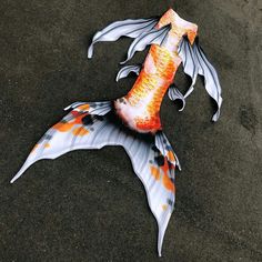 an orange and white koi fish laying on the ground