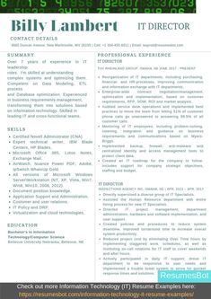 a professional resume template for an it director