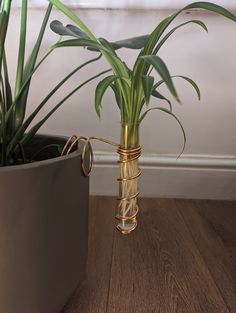 a plant in a glass vase with wire wrapped around it