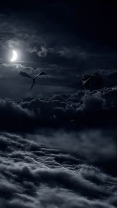 two birds flying in the sky at night with a full moon behind them and clouds below