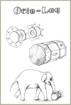 an elephant is standing next to some drawings