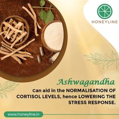 "People who are agitated or nervous, as well as those who have chronic diseases, may benefit from ashwagandha. Follow us @honeylineindia for more Informative content! . . #Honeyline #Honeylineindia #ayurveda #ashwagandha #ashwagandhabenefits #benefitsofashwagandha #ayurvedamedicine #ayurvedahealing #ayurvedalove #ayurvedatreatment" Ashwagandha Benefits, Cortisol Levels, Chronic Disease, Mental Clarity, Ayurveda, Follow Us, No Response, Quick Saves