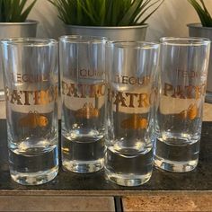 four glasses sitting on top of a counter next to each other in front of a potted plant