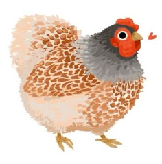 a drawing of a chicken with brown spots and red combs on it's head