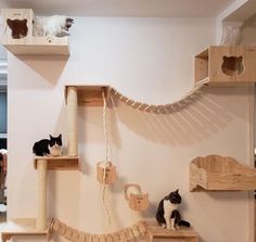 two cats sitting on top of wooden shelves in a cat house with several different types of furniture