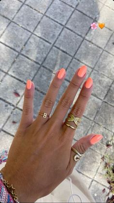 Visit BookOnBoard.com to find cute beach nails designs, simple beach vacation nails- ocean, sea, coral, hawaii, acrylic, long, waves, trendy beach nails inspo, short, square, shell, almond, french tip, gel, orange, yellow, blue, pastel, cute summer beach nails, beach nail art, #beachnailideas vacation nail inspo, simple summer nails, #beachynails coastal nails, holiday nails for summer, beach inspired nails, elegant nails, seashell nails #beachnails2024 #beachnailcolors #beachvibes #summernails Summer Nails To Make You Look Tan, Nails To Make You Look Tan, Summer Nail Inspo Solid Color, Cute Summer Nails Orange, Fun Simple Summer Nails, Single Color Nail Ideas, Nail Colors To Make You Look Tan, Plain Nail Color Ideas, Solid Color Nails Summer