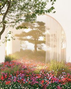 an artistic rendering of a garden with flowers and trees in the foreground is shown