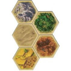 four hexagons with different types of plants and animals in them, all on top of each other