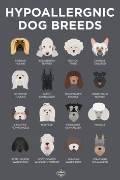 the different types of dogs that are in this poster, which is also available for purchase