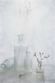 three glass vases with flowers in them on a white tableclothed surface, one is empty and the other has no leaves