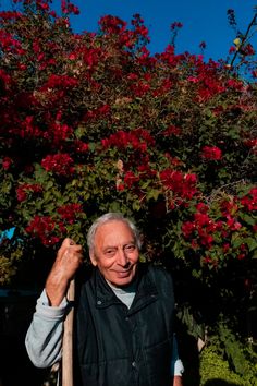 an older man is standing in front of a bush with red flowers on the tree