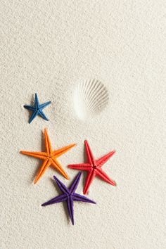 three starfishs and a seashell on the sand