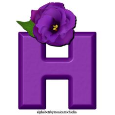 the letter h has a purple flower on it