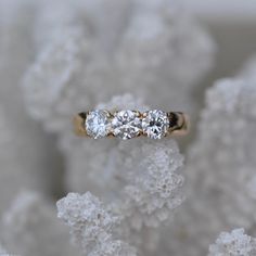 three stone ring sitting on top of white crystals