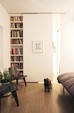 there is a dog that is standing on the floor in front of bookshelves