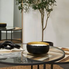 a black bowl sitting on top of a glass table next to a potted plant