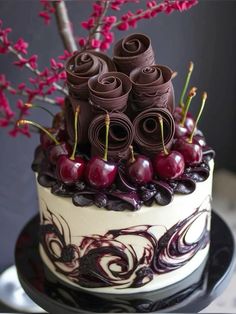 a cake with chocolate and cherries on top