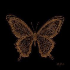 a brown butterfly with intricate lace on it's wings is shown in the dark