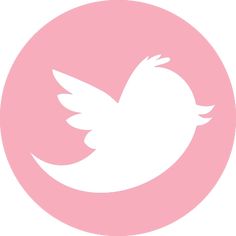 a pink circle with a white bird in it's center and the word twitter on top