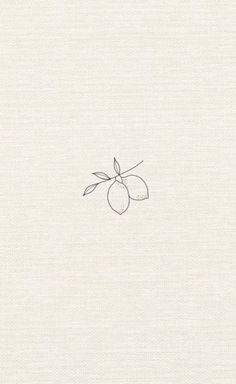 an apple drawn on top of a piece of white paper with a line drawing of the fruit