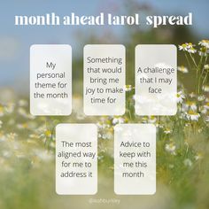 a field with daisies and the words, month ahead tarot spread on it