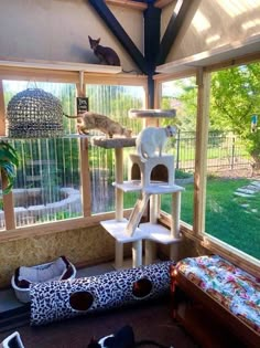 two cats sitting on top of a cat tree in a room with lots of windows