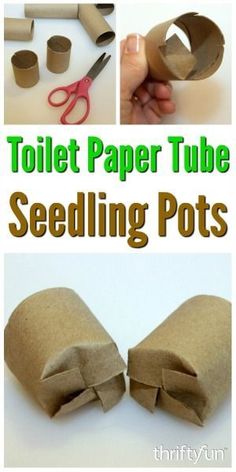 toilet paper tube seeding pots with scissors and other things to make them look like they are