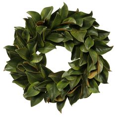 a wreath with green leaves is shown on a white background and looks like it could be used as an ornament